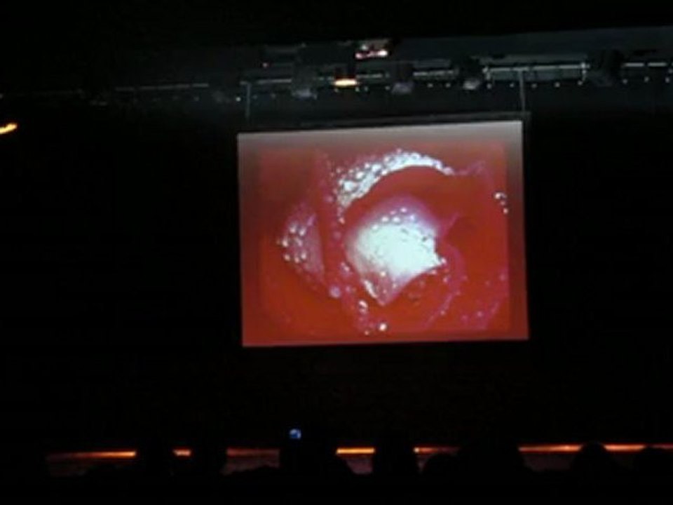 Modern'jazz 2012 0081