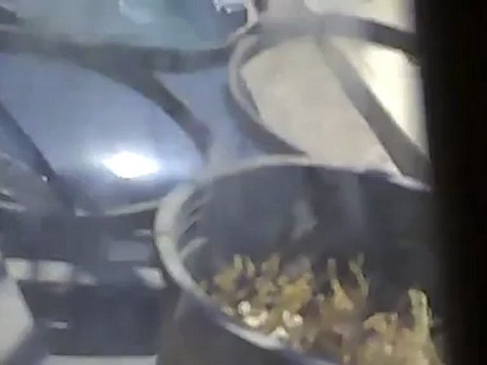 Syria فري برس  ريف دمشق انتشار عصابات الامن و الشبيحة معضمية الشام 22 6 2012 ج1 Damascus