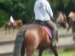 dressage, galop clemence;extra dry.