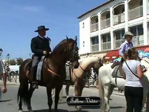 Les Saintes Maries de la Mer - 25 juin 2012 - Fête du Cheval Camargue