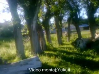 AŞIK CEMAL DİVANİ GÖZLERİN