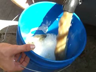 This is what's in your carpets