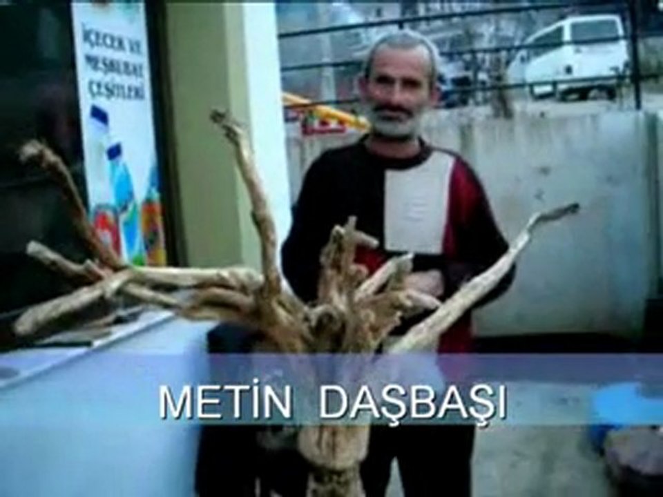 metin daşbaşı