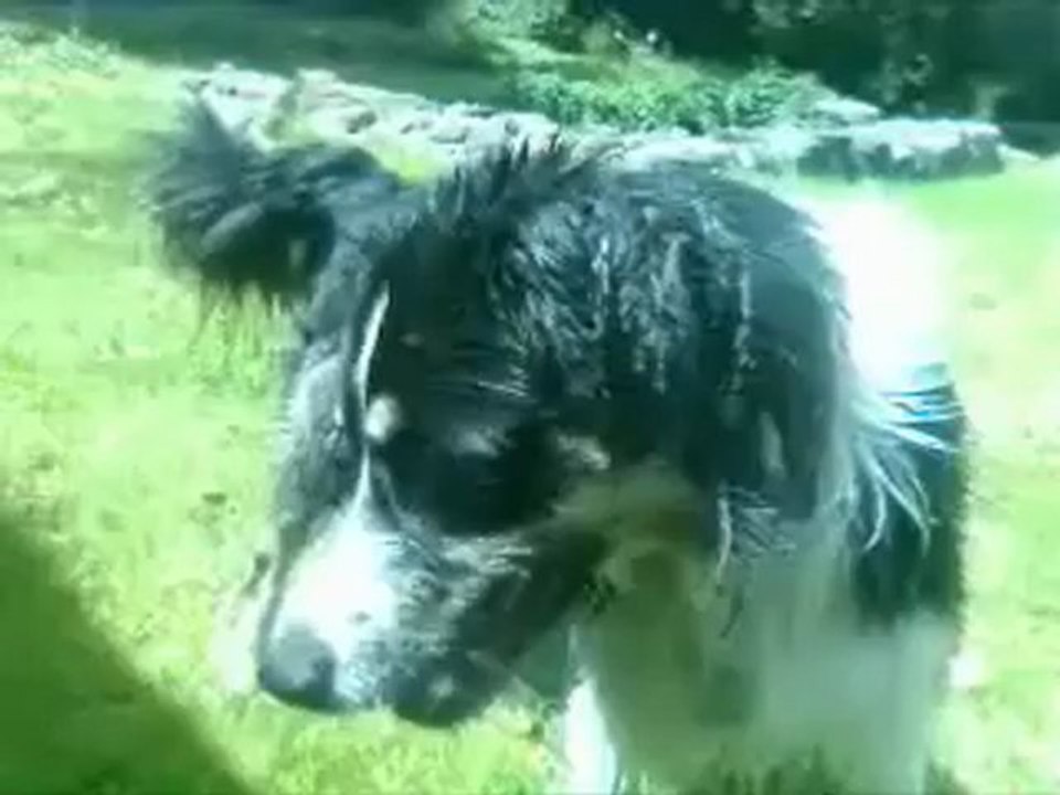 Au lavoir des Chiens Heureux, music de Shaka Ponk, Hombre Que Soy