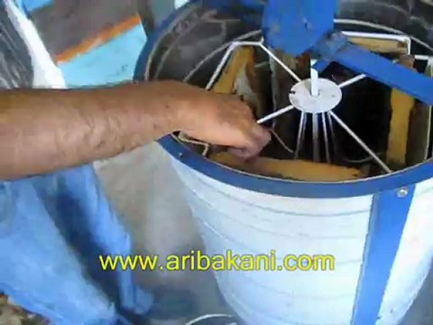 Bal hasadı ve sağım, arıcılık videosu