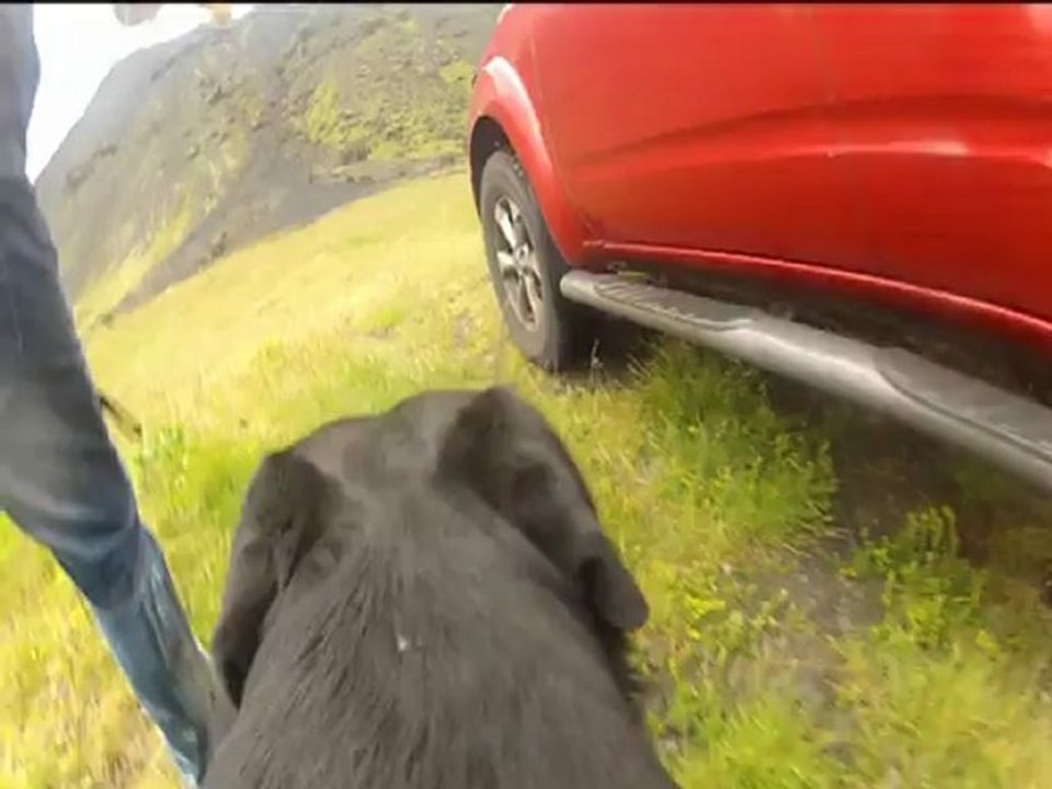 AMY GoPro 1