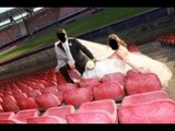 Napoli - Matrimoni allo stadio San Paolo, inchiesta di Comune e Procura (23.06.12)