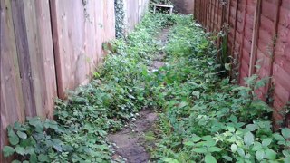 Garden Clearance Crawley West Sussex, Garden Clearance Service