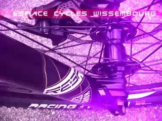 Giant ANTHEM 29ER 2 - 2012