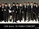 15th Anniversary YG Family Concert Making DVD [HQ]