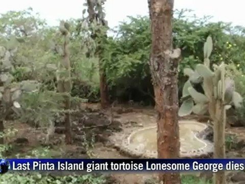 Giant tortoise Lonesome George, last of species, dies