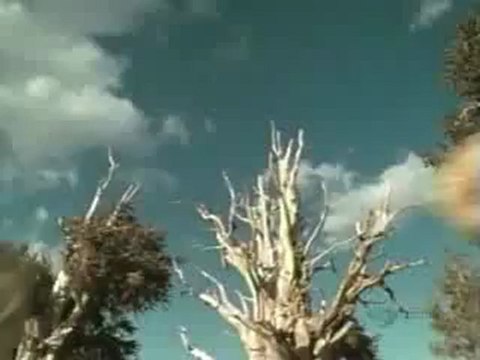 Разходка с чудовища преди динозаврите - Увод