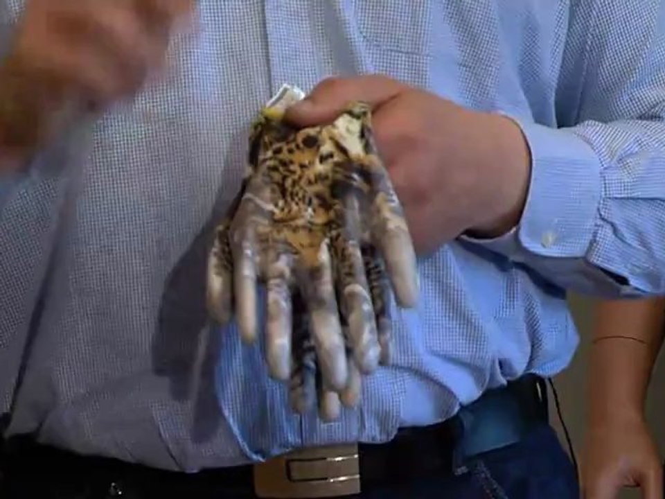 Bringen Sie Farbe ins Spiel: Handschuhe für Damen