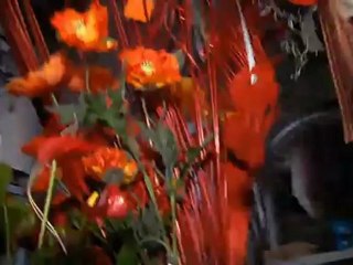 Gartenhandschuhe - Crazy Gloves für Garten & Beruf