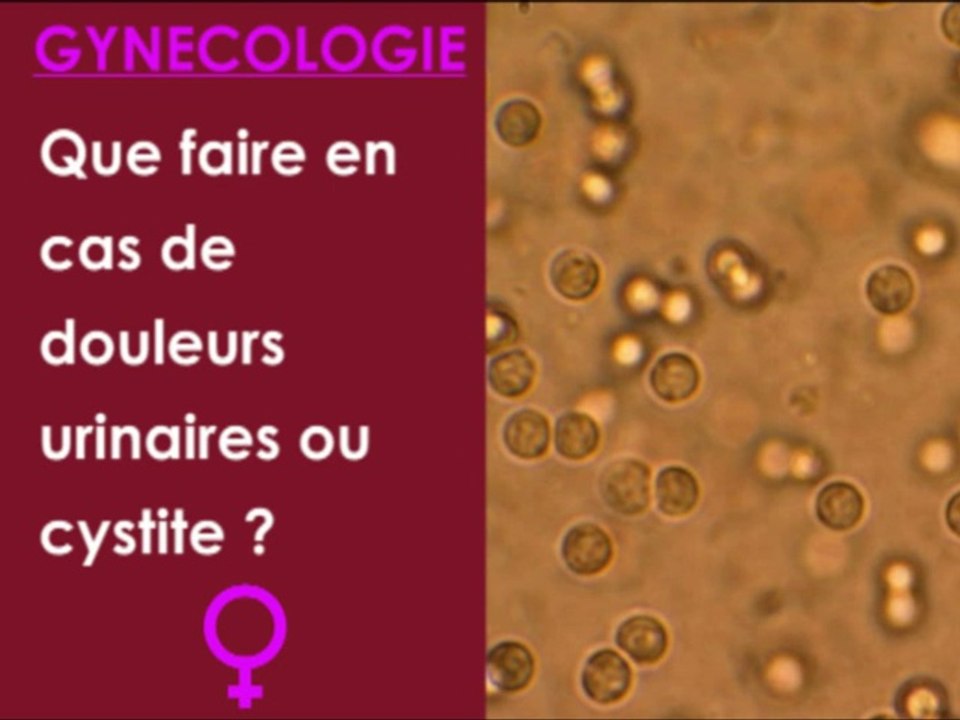 Que faire en cas de douleurs urinaires ?