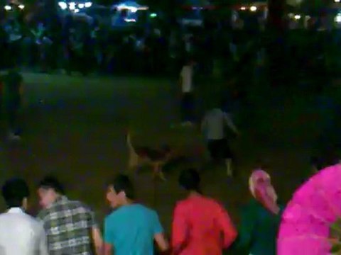 ALİ RIZA ÇOLAK - HORONNNNN 4 - YAZILAR KÖYÜ ŞENLİĞİ 23.06.2012