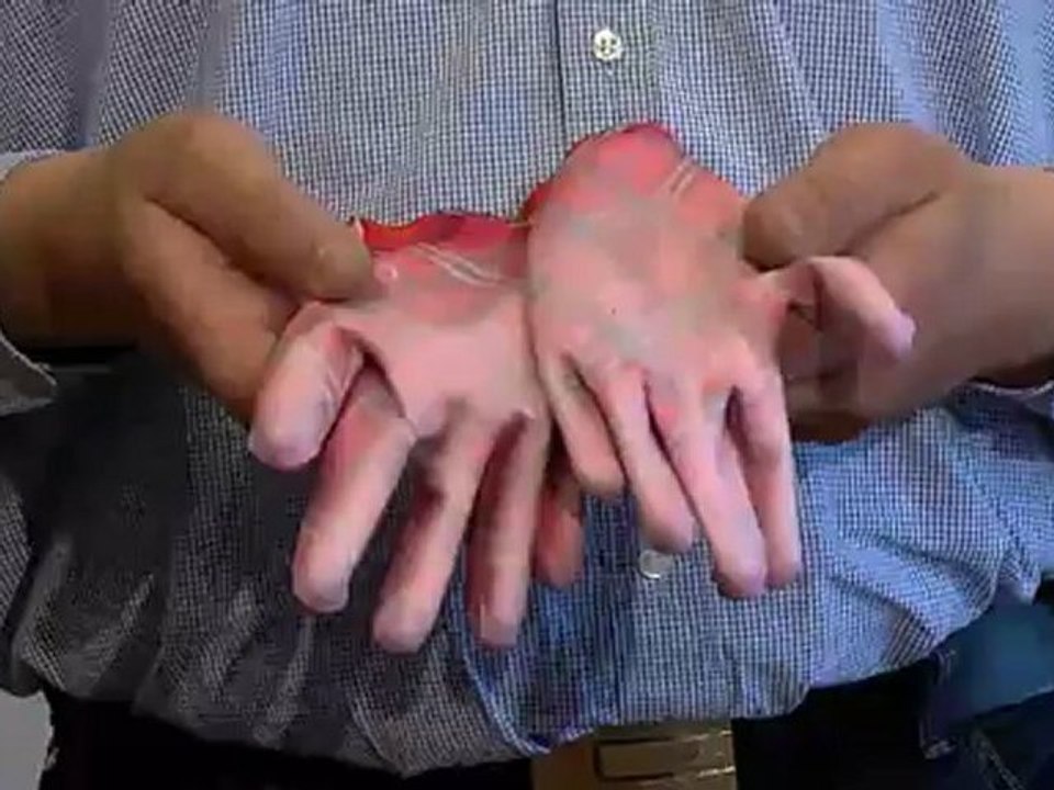 Arbeitshandschuhe mal anders - modisch und modern