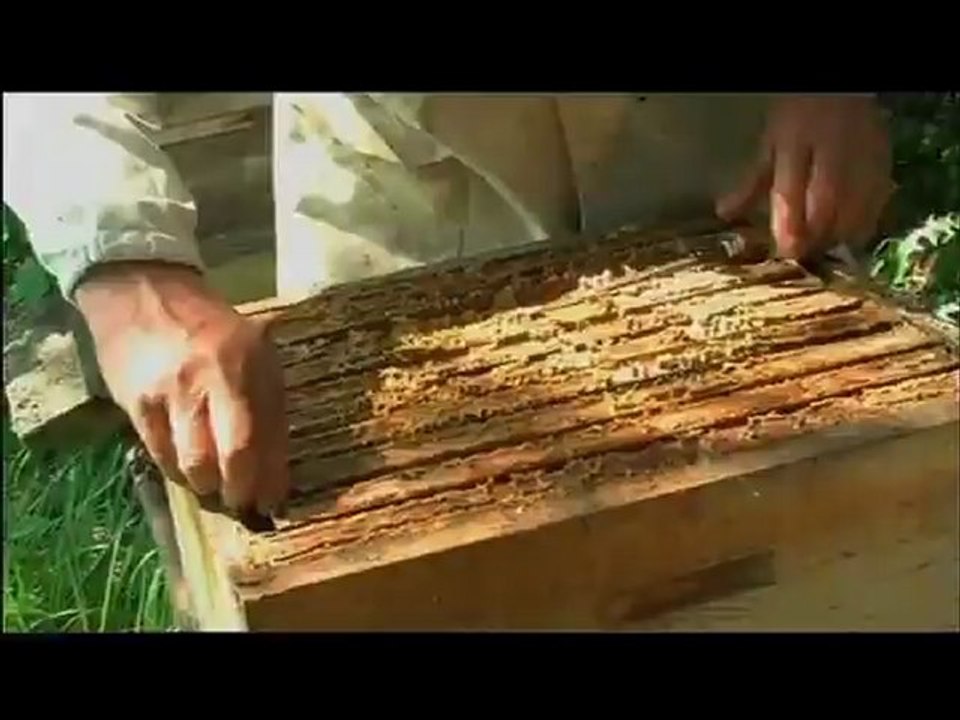 Cela se passe en Pays de Savoie : "Lionel Mithieu"