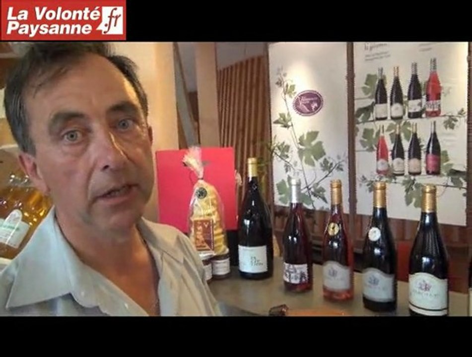 Vins AOC Marcillac : une cave oenotouristique à Valady (Aveyron)