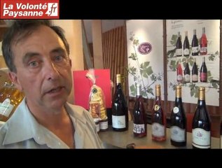 Vins AOC Marcillac : une cave oenotouristique à Valady (Aveyron)
