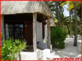 Las Palapas Mexiko Playa del Carmen, Yucatan  Cancun Bilder Video www.Fella.de