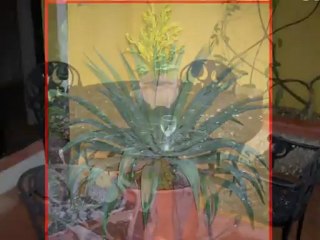 Rundreisehotel Mini yucatan Onlinebuchung @ http://www.VIP-Reisen.de