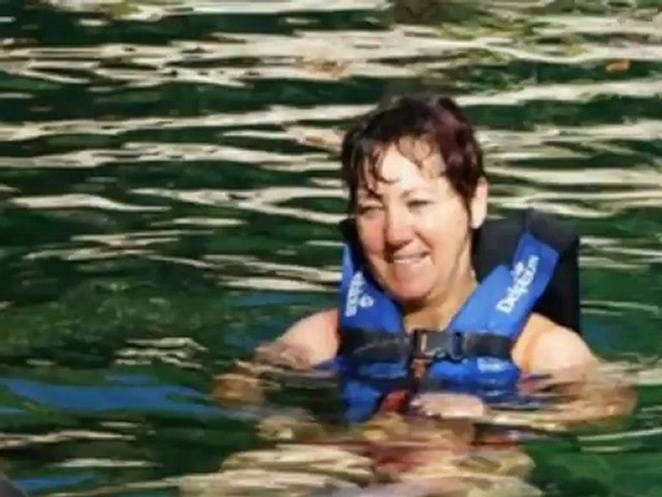 Delfinschwimmen Delphinus in Mexiko Playa Del Carmen Delphin Schwimmen Foto Video