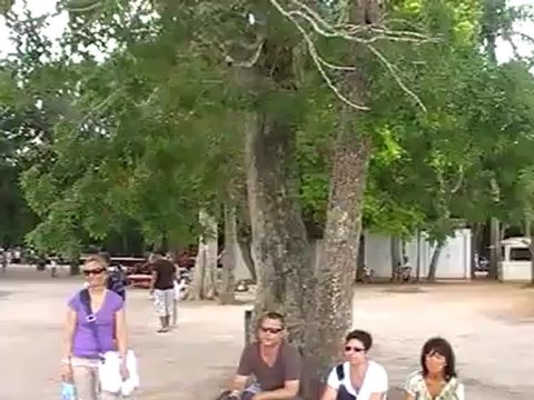 Chichen Itza Mini Yucatan Rundreise Tulum - The Mayan City TUI Rundreise Fella.de