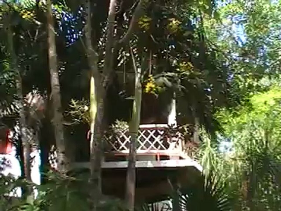 Las Palapas Mexiko Playa del Carmen, Yucatan Cancun Bilder Video Hubet Fella www.Fella.de