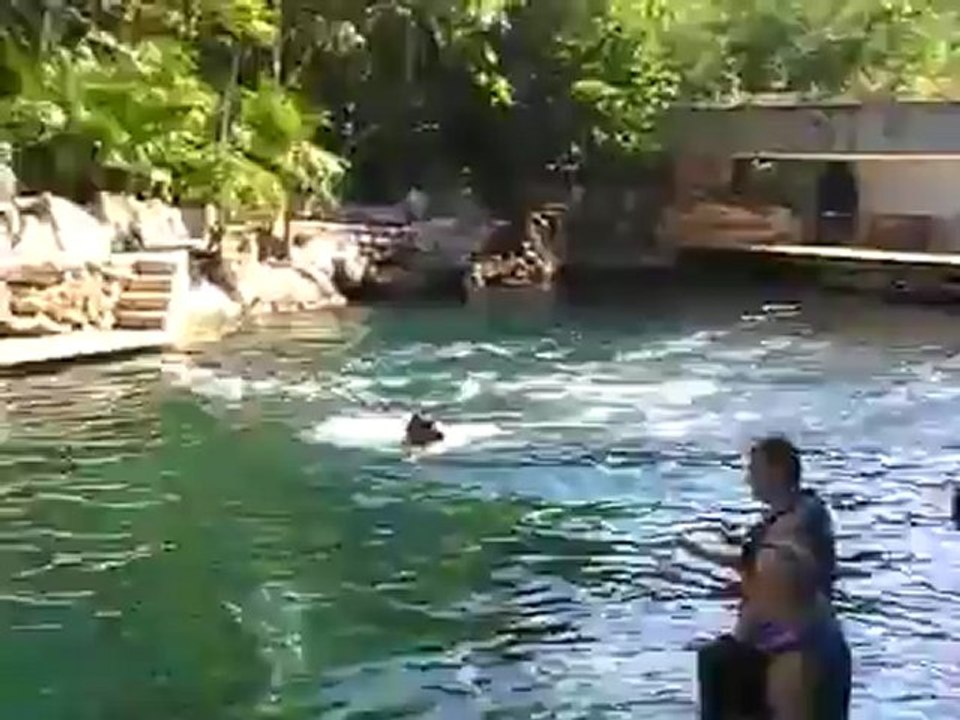 Infogruppe TUI TRAVELSTAR beim Delfin schwimmen in Mexiko Playa del Carmen www.Fella.de