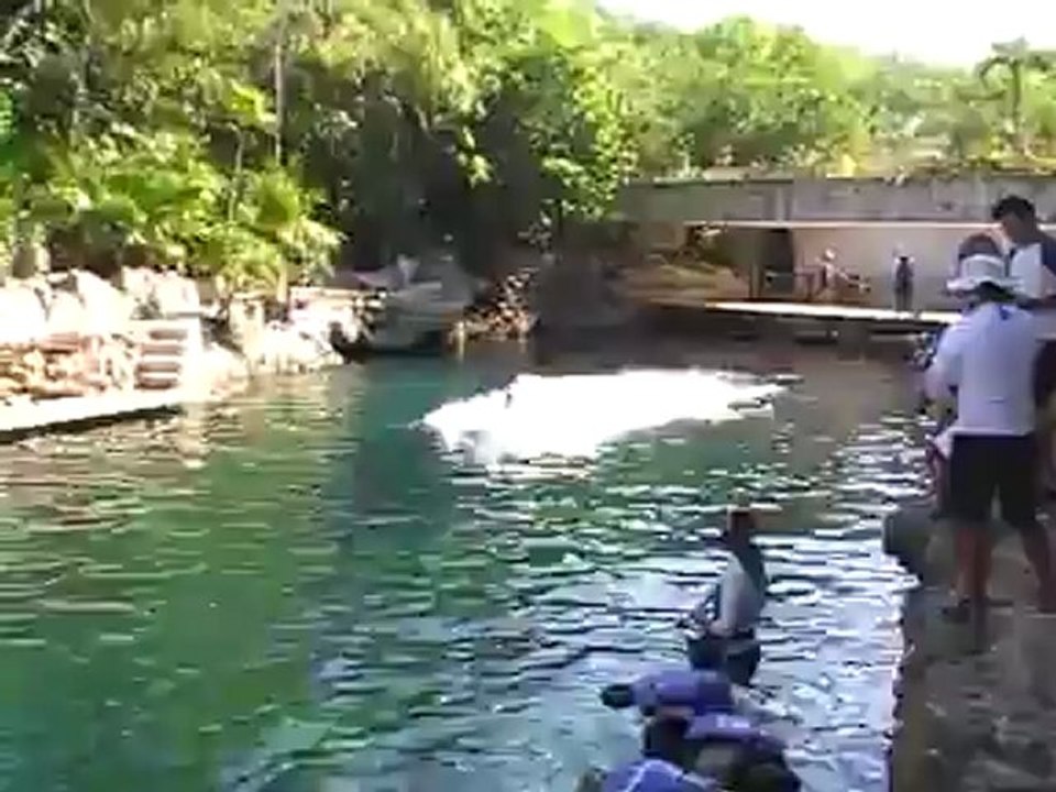 Hubert Fella beim Delfin schwimmen in Mexiko Playa del Carmen www.Fella.de