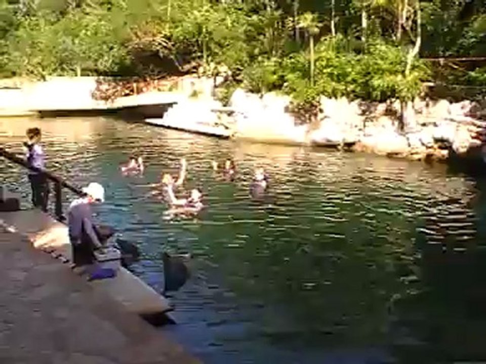 Hubert Fella beim Delfin schwimmen in Mexiko Playa del Carmen www.Fella.de