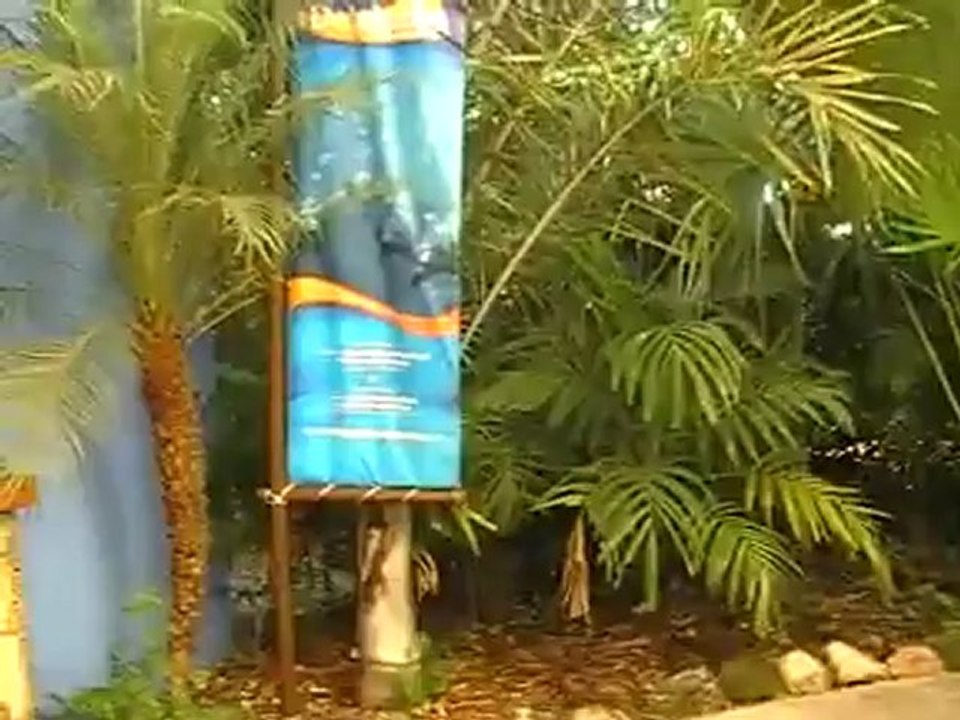 Hubert Fella im Delphinus Eingang Delfin schwimmen in Mexiko Playa del Carmen www.Fella.de