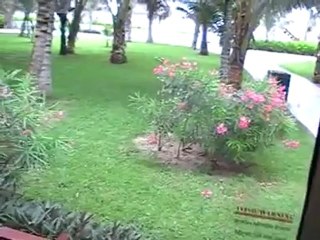 El Dorado Seaside Suites Playa Kantenah Zimmer Cancun Bilder Video www.Fella.de