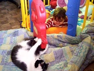 Choupy et Arthur le chat