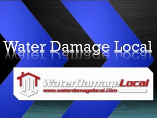 Flooded Basement - Katy, TX