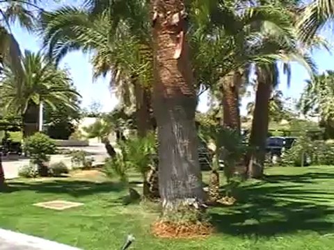 Kreta Hotel Grecotel Creta Palace Missiria von aussen Rethymnon Bilder Film mehr @ Fella.de