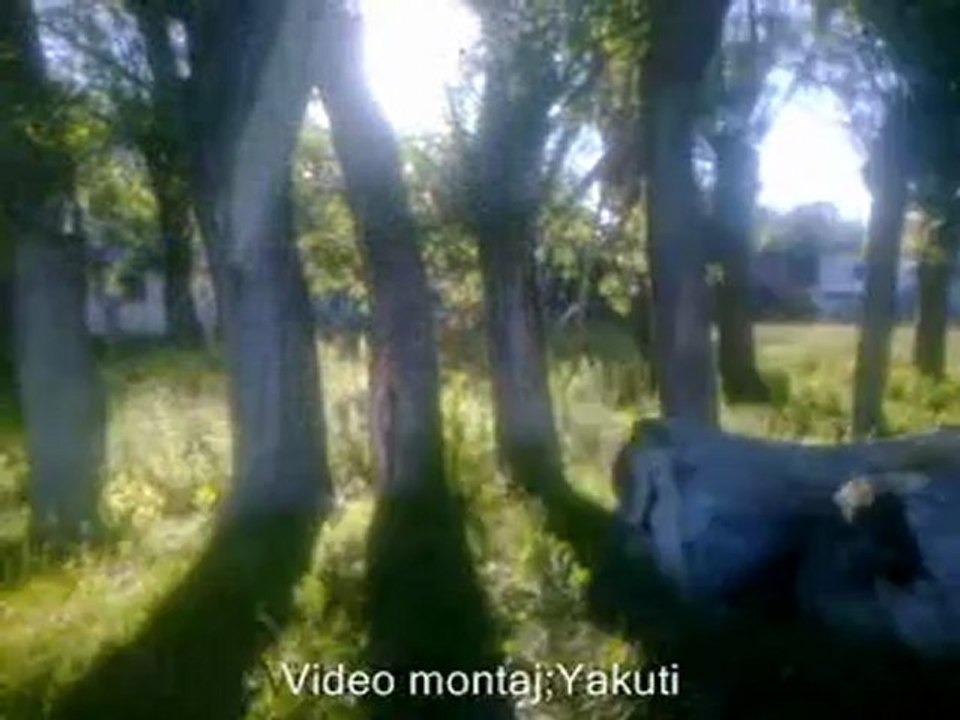 AŞIK CEMAL DİVANİ SÜMMANİ TÜRKÜSÜ