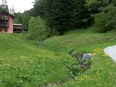 Explosiv - Motivation zum Erfolg von Ernst Crameri