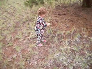 Looking For Wildflowers