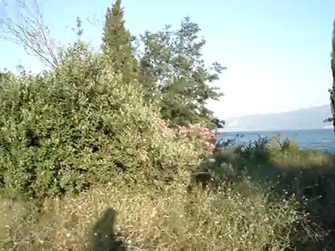 MERHABA BEN ERHAN ERKEK ARKADAŞ ARAYAN BAYANLAR 0.532.496.78.87 HEMEN BENİ ARAYIN