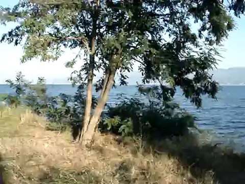 BEN ERHAN BAYAN ARKADAŞ ARIYORUM CEP TEL : 0.532.496.78.87