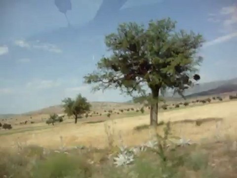 yandı bağrım yandı aşkın elinden bir de sen yakıpta gönderme beni