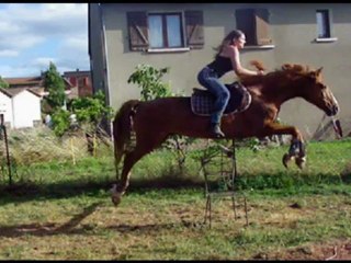 Hadj en saut d'obstacle pas comme les autres X3