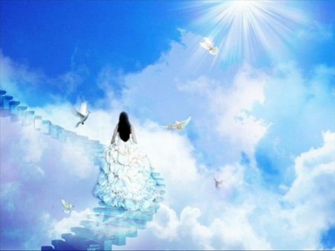 Le cri d Amour - Jean Claude Borelly