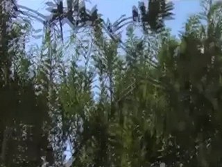 Syria فري برس ادلب مشهد يظهر الطائرة وهي تطلق الصواريخ وااااضحة 100%26 6 2012 Idlib