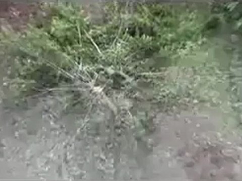 Syria فري برس حمص قلعة الحصن اثار القصف المدفعي على المنازل 26 6 2012 ج7 Homs