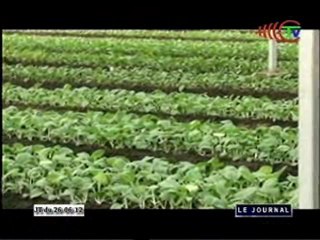 Visite des travaux de réhabilitation de la ferme de Kombé