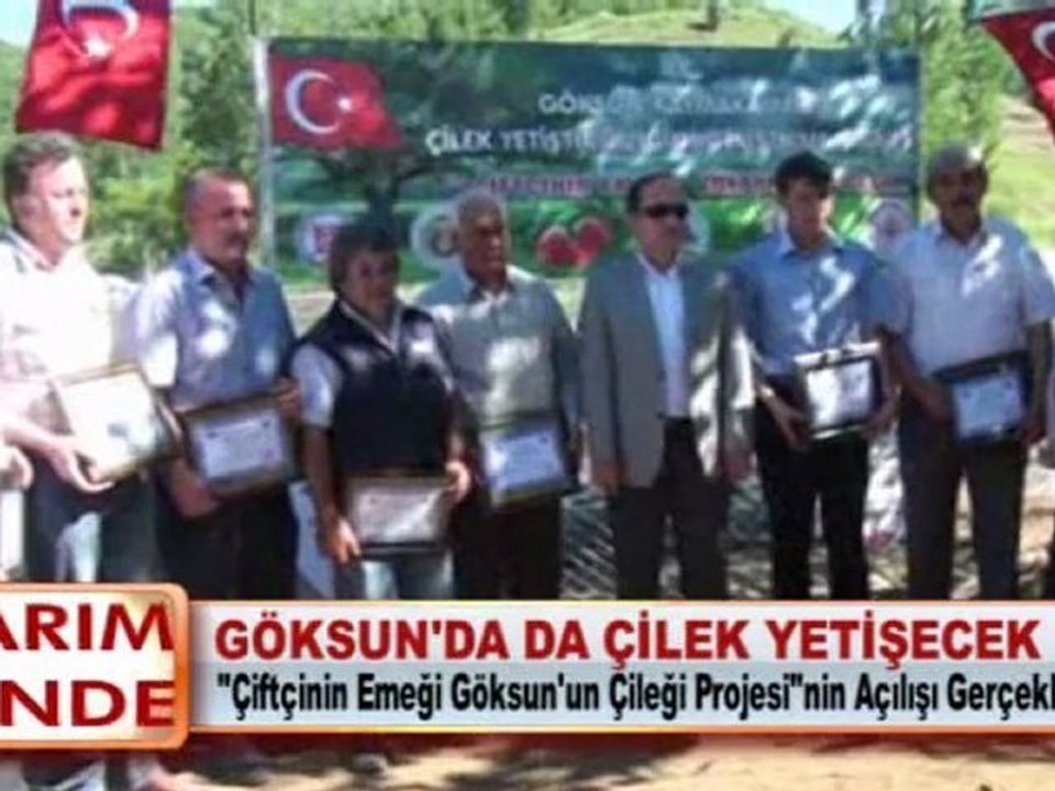 GÖKSUN’DA DA ÇİLEK YETİŞECEK
