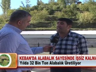 KEBAN’DA ALABALIK SAYESİNDE İŞSİZ KALMADI